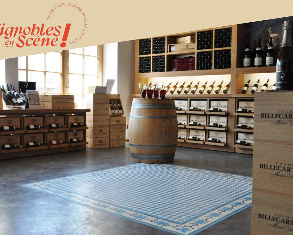 Atelier d’initiation et de découverte des vins au Vineum