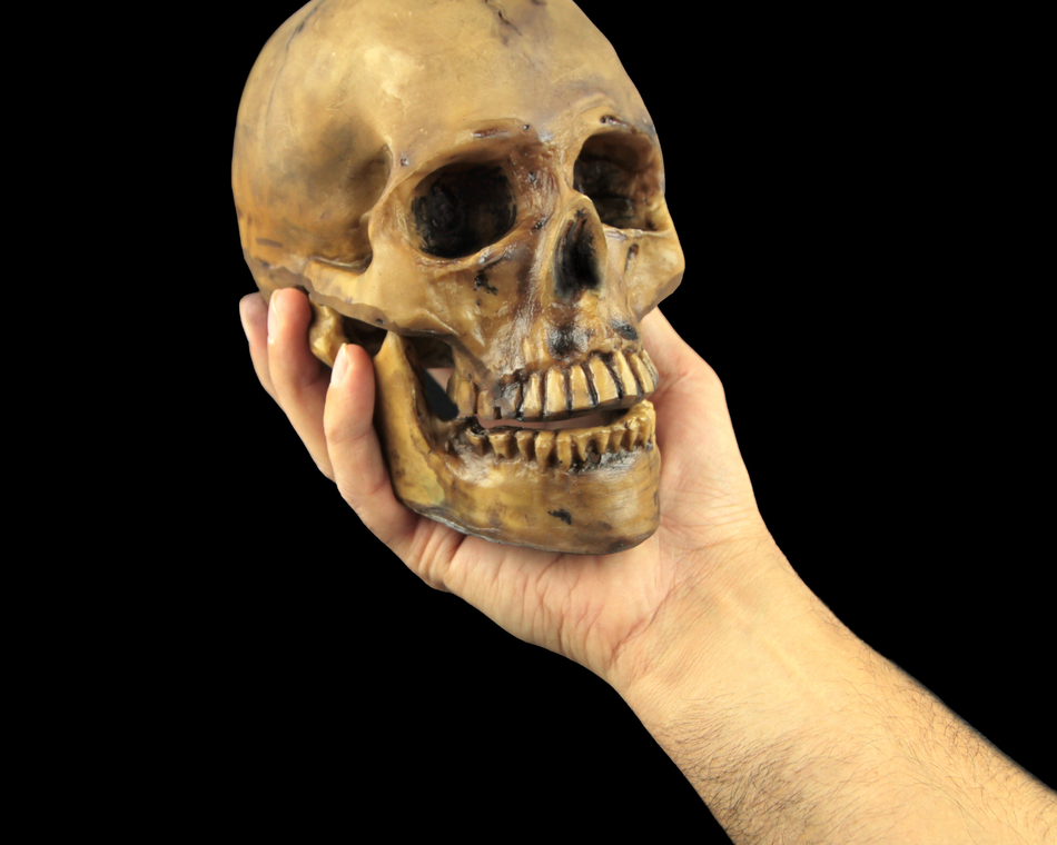 To win or not to win - Festival Shakespeare