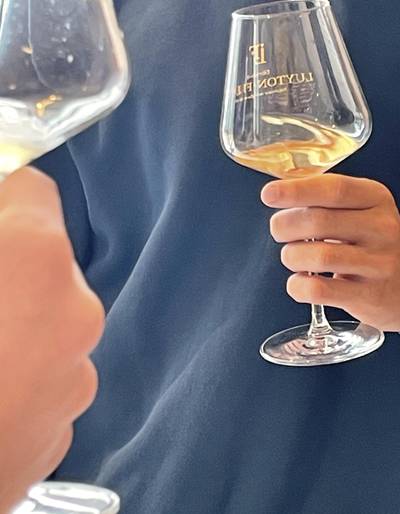 image-Fête du vin blanc - Mercurol Veaunes