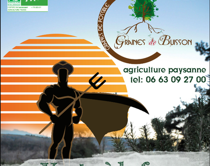 Farmer market - Graines de Buisson