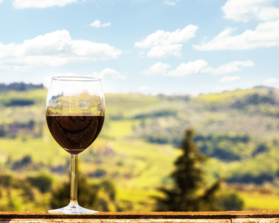 Deux visites et atelier vins&mets - Soif d'apprendre