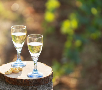 image-Visite de vignes et atelier vins&mets - Soif d'apprendre
