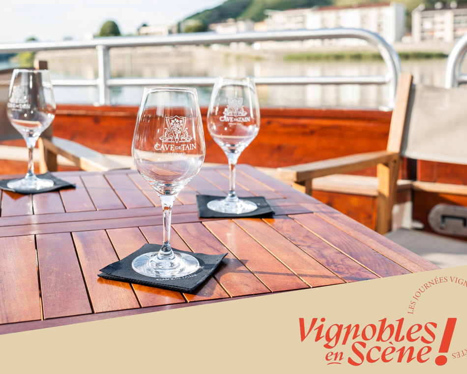 Croisière Gourmande : Vins & Fromages au Fil du Rhône - Terre de Syrah