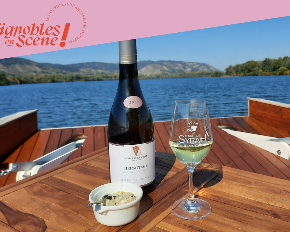 Croisière Gourmande : Vins & Fromages au Fil du Rhône - Terre de Syrah