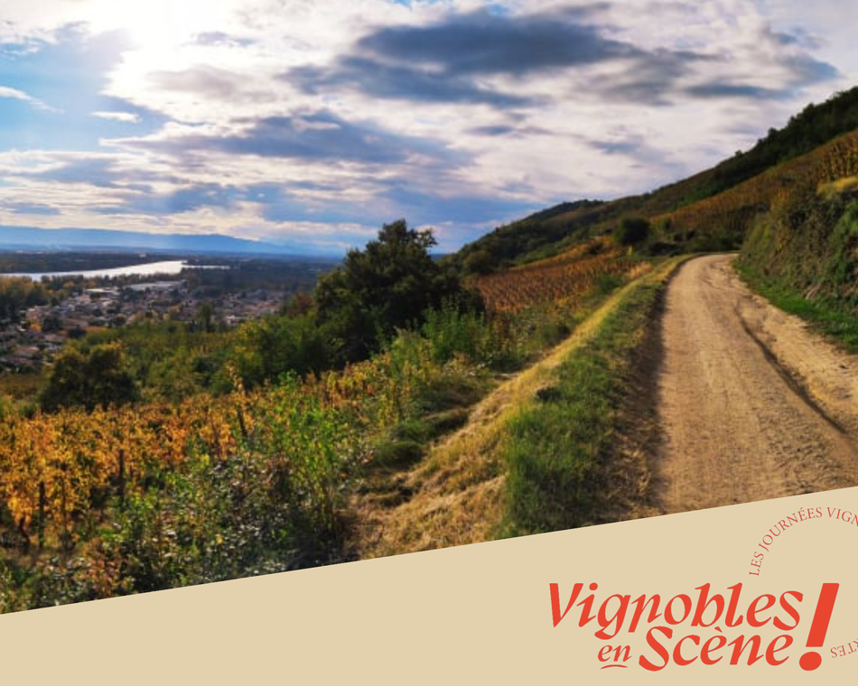 Randonnée dans les vignes - Domaine de Gouye
