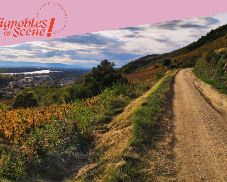 Randonnée dans les vignes - Domaine de Gouye