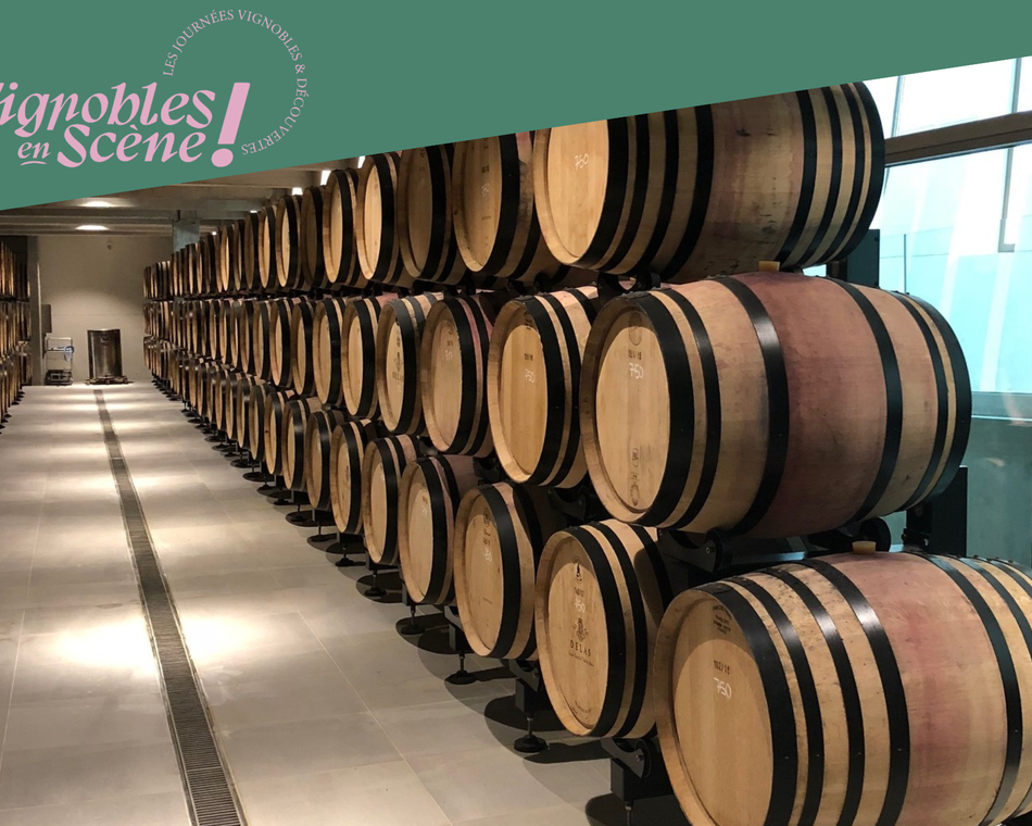 Dégustation "accord mets & vins" - Delas frères