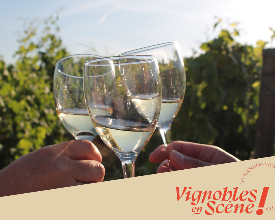 Visite et dégustation - Cave de Tain - Vignobles en scène