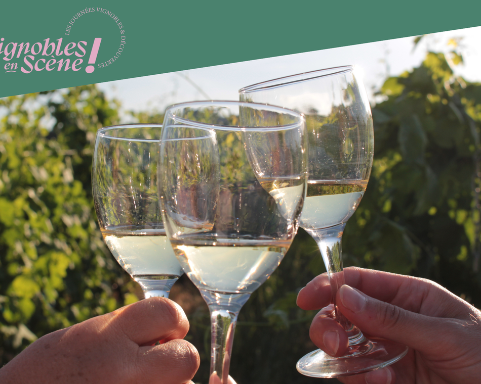 Visite et dégustation - Cave de Tain - Vignobles en scène