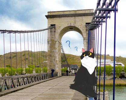 Chasse au trésor bicentenaire de la Passerelle Seguin- Pythagore le chat et l'inventeur disparu