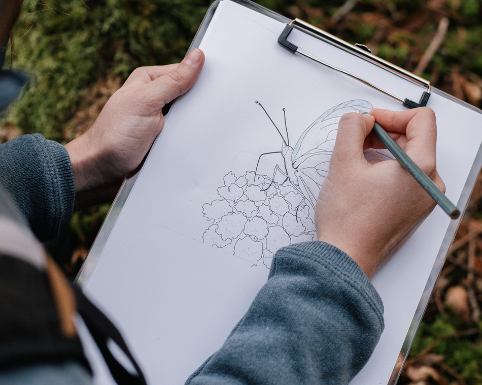 Croquis nature - Jardin Zen d'Erik Borja