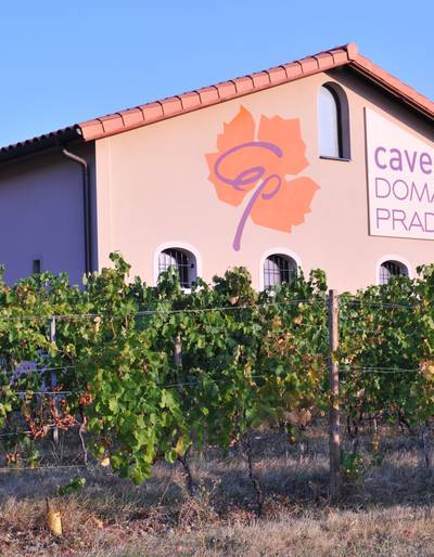 image-Apéro sunset dans les vignes - Cave Pradelle