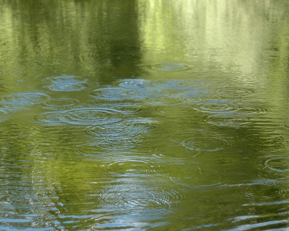 Découverte de l'eau sous tous ses aspects - Journées Européennes du Patrimoine