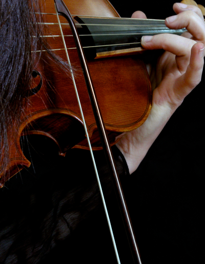 image-Les Violons au temps de Brillat-Savarin - Vochora