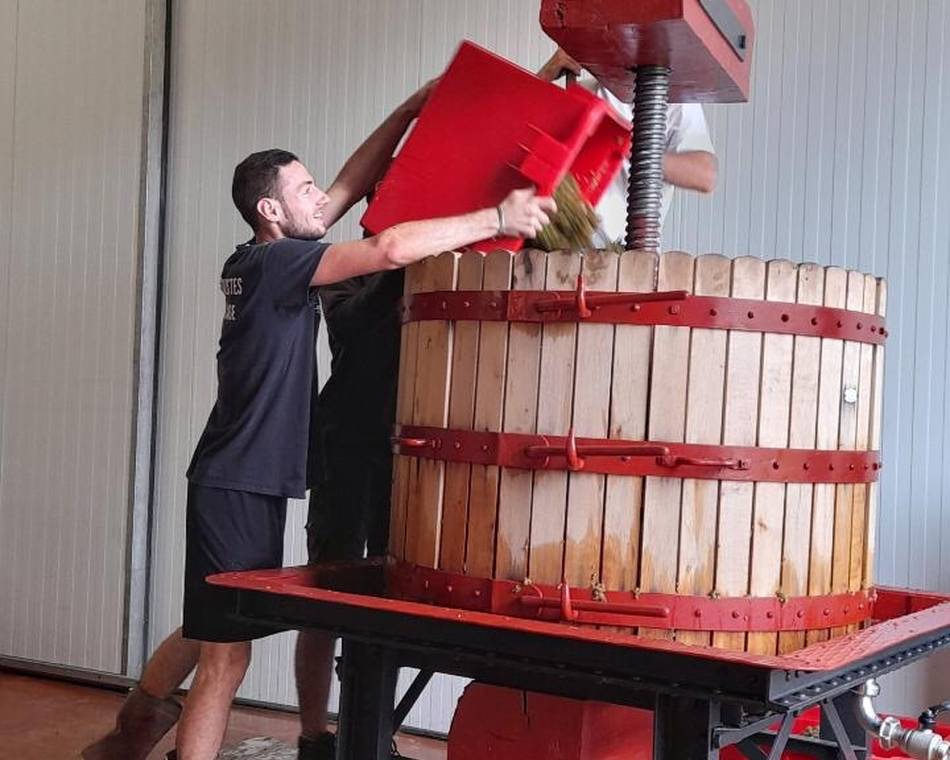 Domaine Etienne Thivolle