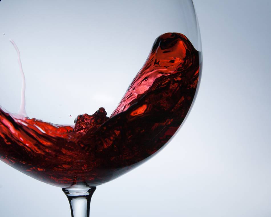 Activités autour du vin avec Degust & Co