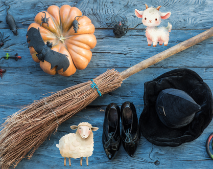 Fabrication de balai de sorcière