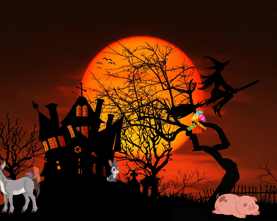 Halloween à la ferme