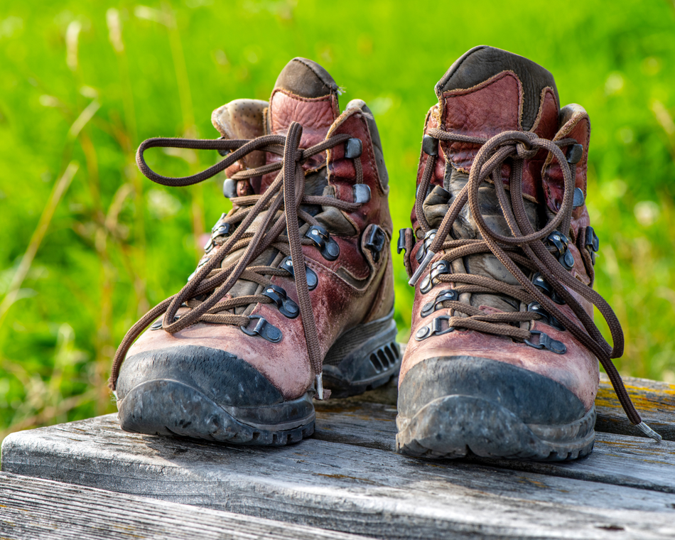 Balade Familiale - Cheminas