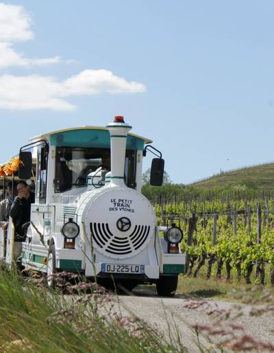 image-Petit train des vignes - Portes ouvertes de la Cave de Tain