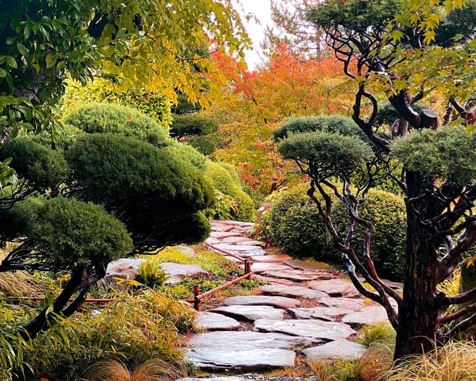 Les splendeurs automnales - jardin Zen d'Erik Borja