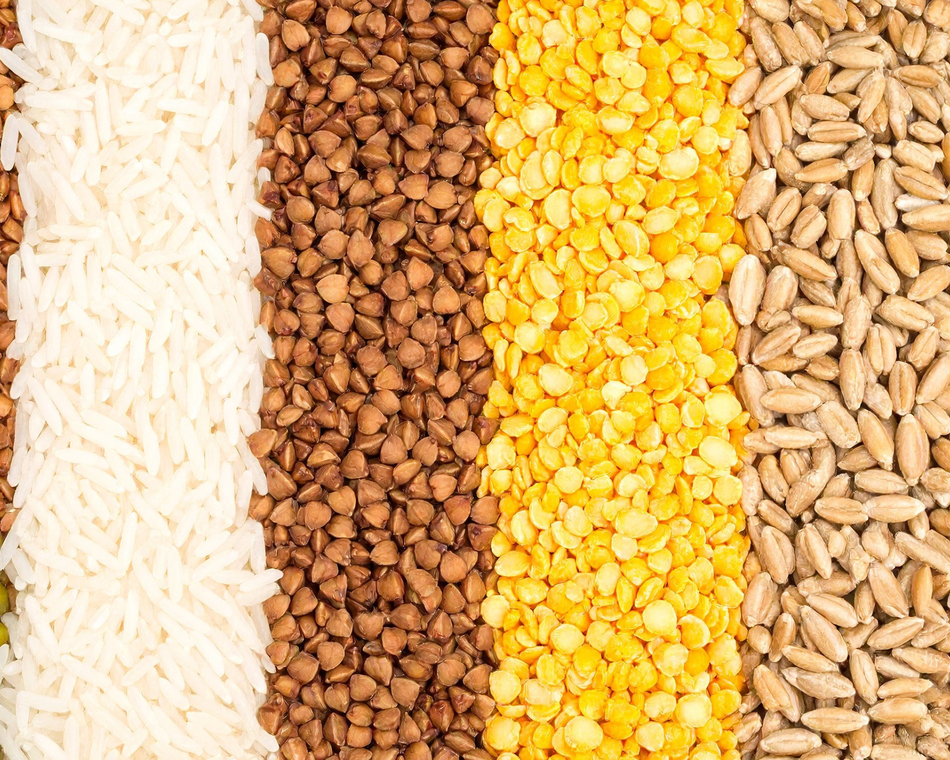 (Re)Découvrons les légumineuses ! - Le mois de la famille