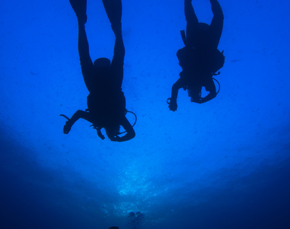 Baptême de plongée - Linae