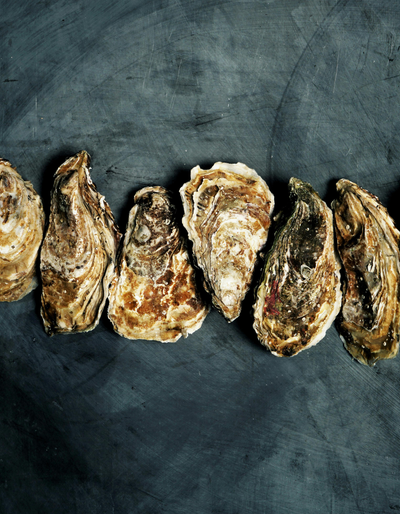 image-Du vin, des huîtres et des copains !