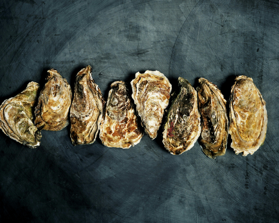 Du vin, des huîtres et des copains !