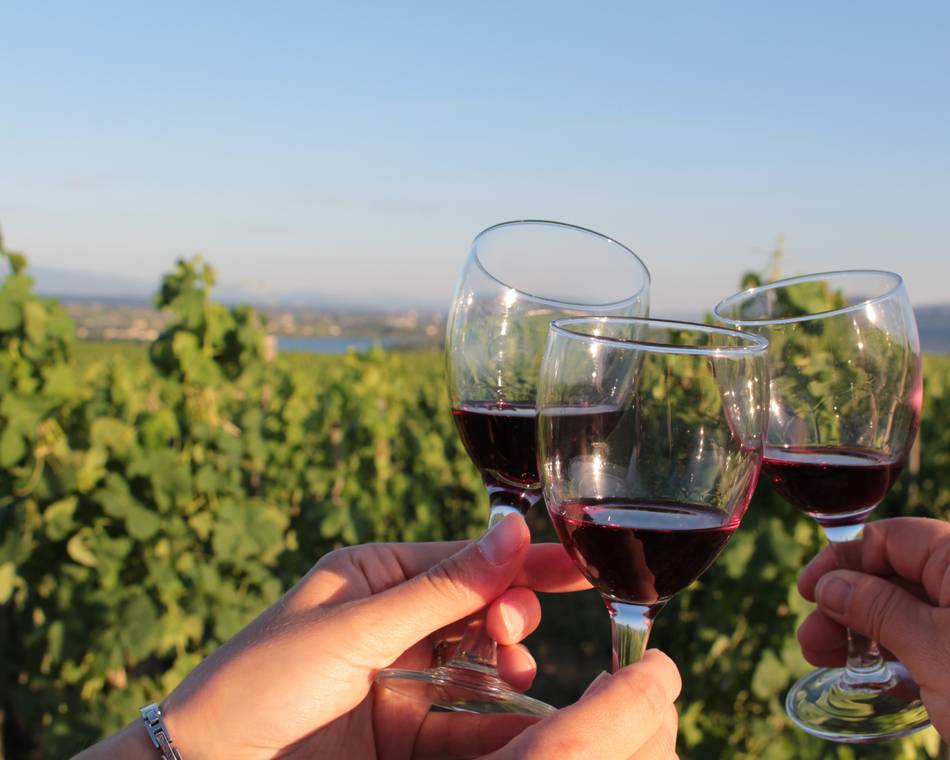 Melody X Soif d'apprendre