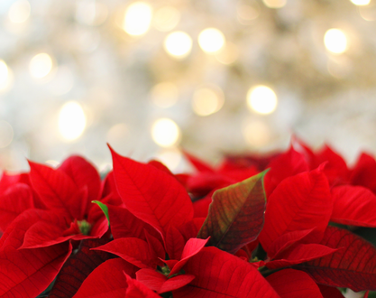 Déambulation des Baladins du rire - Destination Noël Tournon