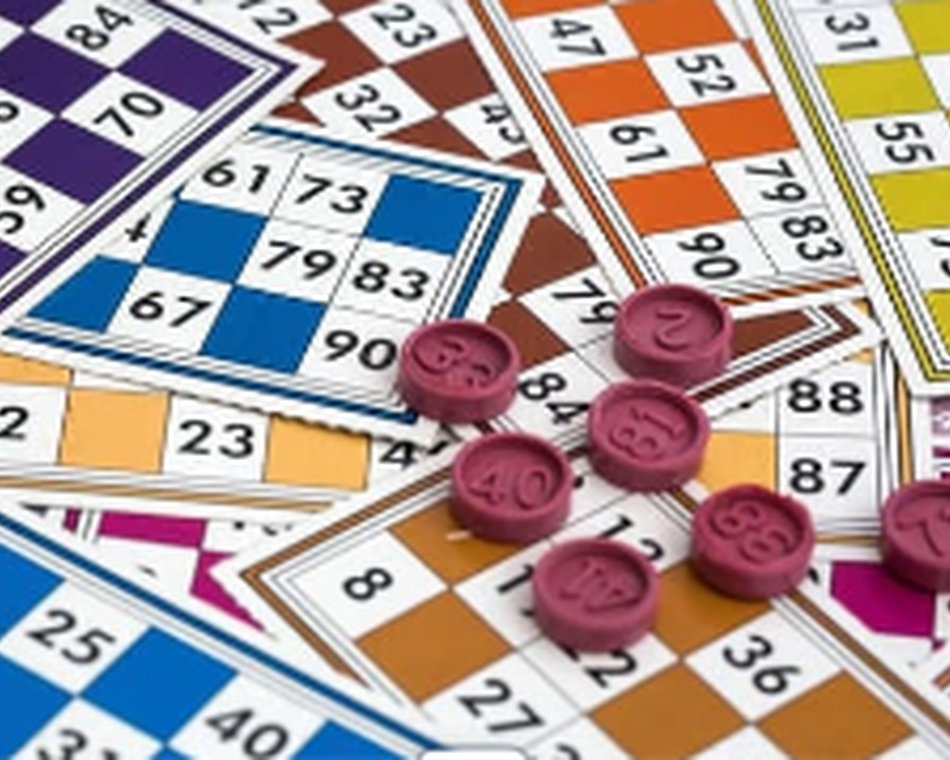 Loto - Tain l'Hermitage