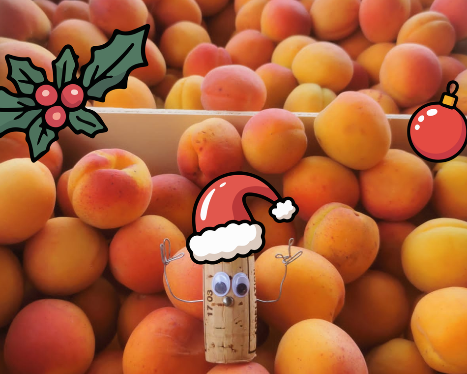 Soirée de Noël à la Maison Gobert