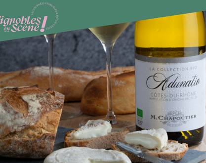 Wine & Cheese" workshop - M.CHAPOUTIER