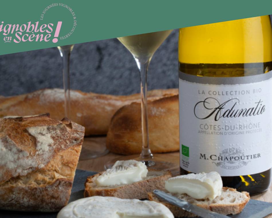 Wine & Cheese" workshop - M.CHAPOUTIER