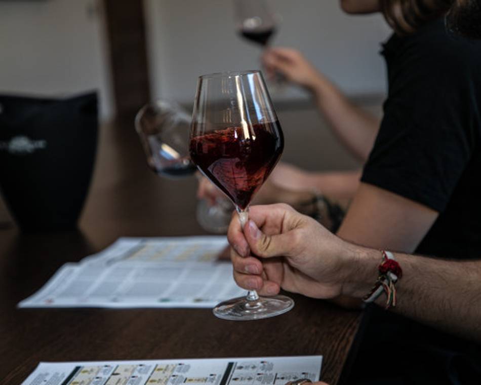 Atelier Découverte "  100% Crozes-Hermitage  " - M.CHAPOUTIER