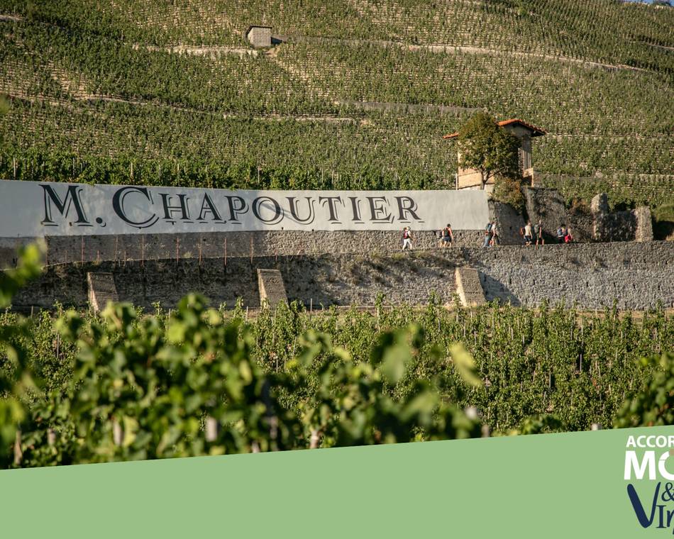 Atelier Découverte "  100% Crozes-Hermitage  " - M.CHAPOUTIER