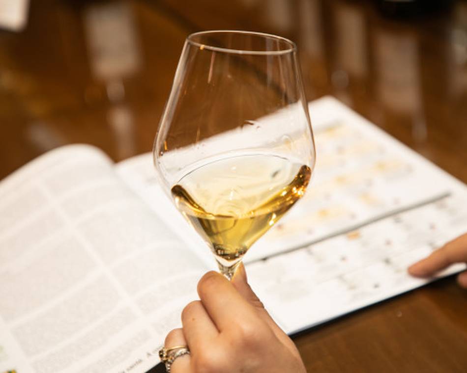 Atelier Découverte "  Vin & Spécialités locales " - M.CHAPOUTIER