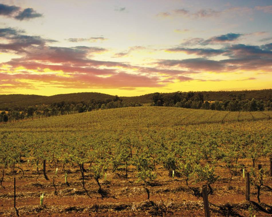 Atelier Découverte " Tour du Monde " - M.CHAPOUTIER