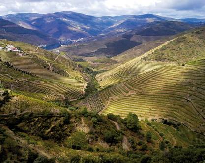 Atelier Découverte "  Espagne & Portugal   " - M.CHAPOUTIER