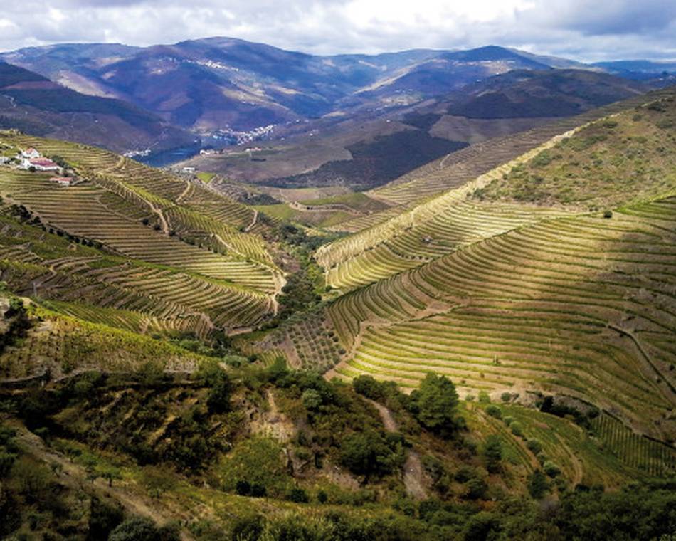 Atelier Découverte "  Espagne & Portugal   " - M.CHAPOUTIER