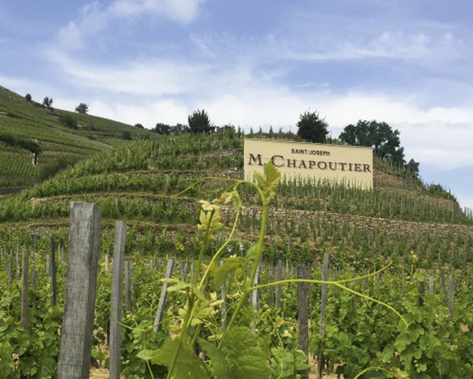 Atelier Découverte "  100% Saint Joseph   " - M.CHAPOUTIER