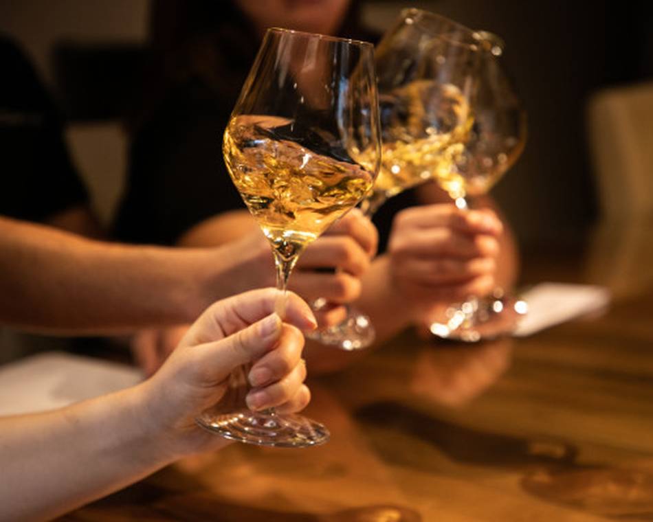 Atelier Découverte "Rhône Septentrional" - M.CHAPOUTIER