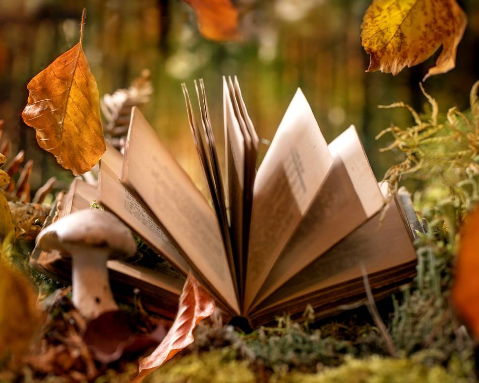 Cécile Acquaviva avec l'arbre aux oiseaux - Chanos-Curson