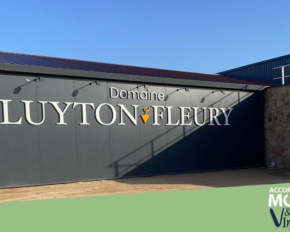 Dégust' du samedi matin : Jeux de dégustation - Domaine Luyton Fleury