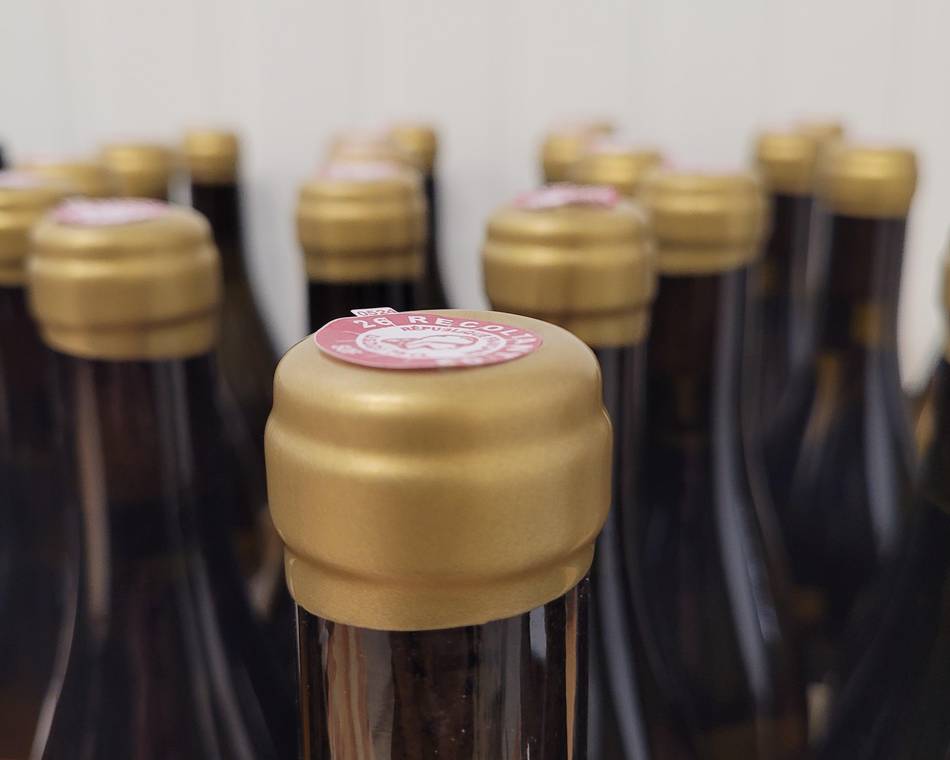 Dégust' du samedi matin : Vin & fromage