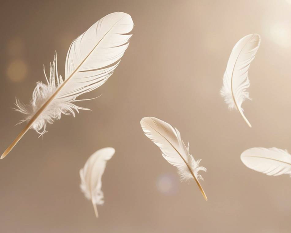 "Poulettes et compagnie" - Festival du Conte des Collines