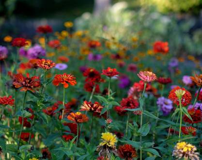 Festival der Gärten Tournon-Tain