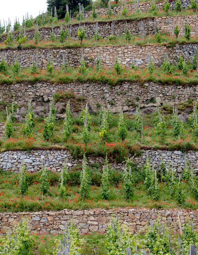 image-Escapade de villes en villages