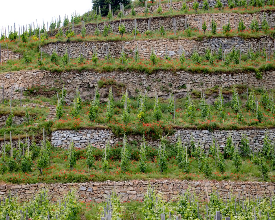 Escapade de villes en villages